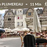 Le Grand Colbert * Tours