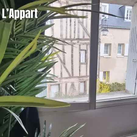 Le Grand Colbert * Tours